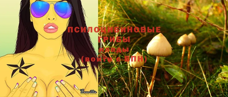 Галлюциногенные грибы MAGIC MUSHROOMS  Беломорск 